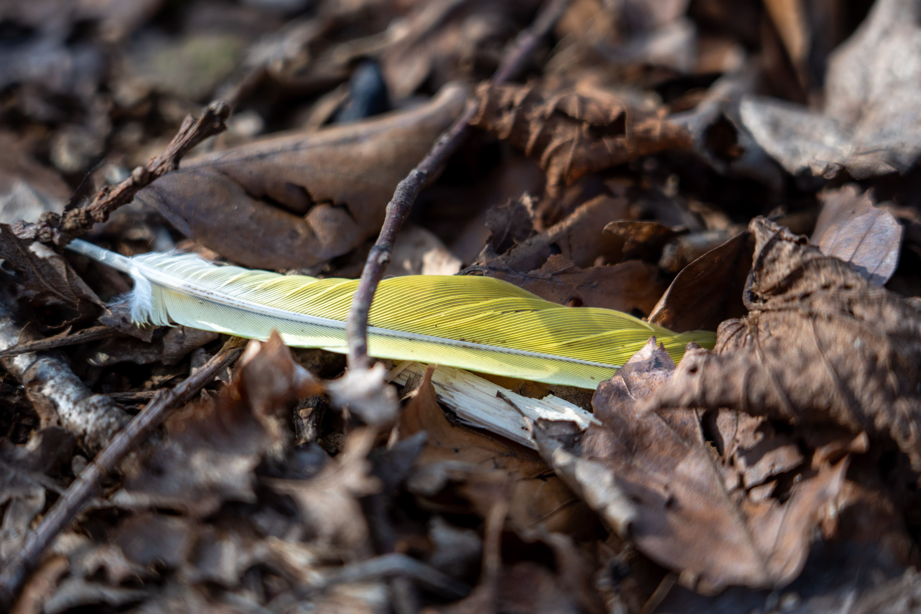 从“技能至上”到“文化契合”:实习后的心态转变