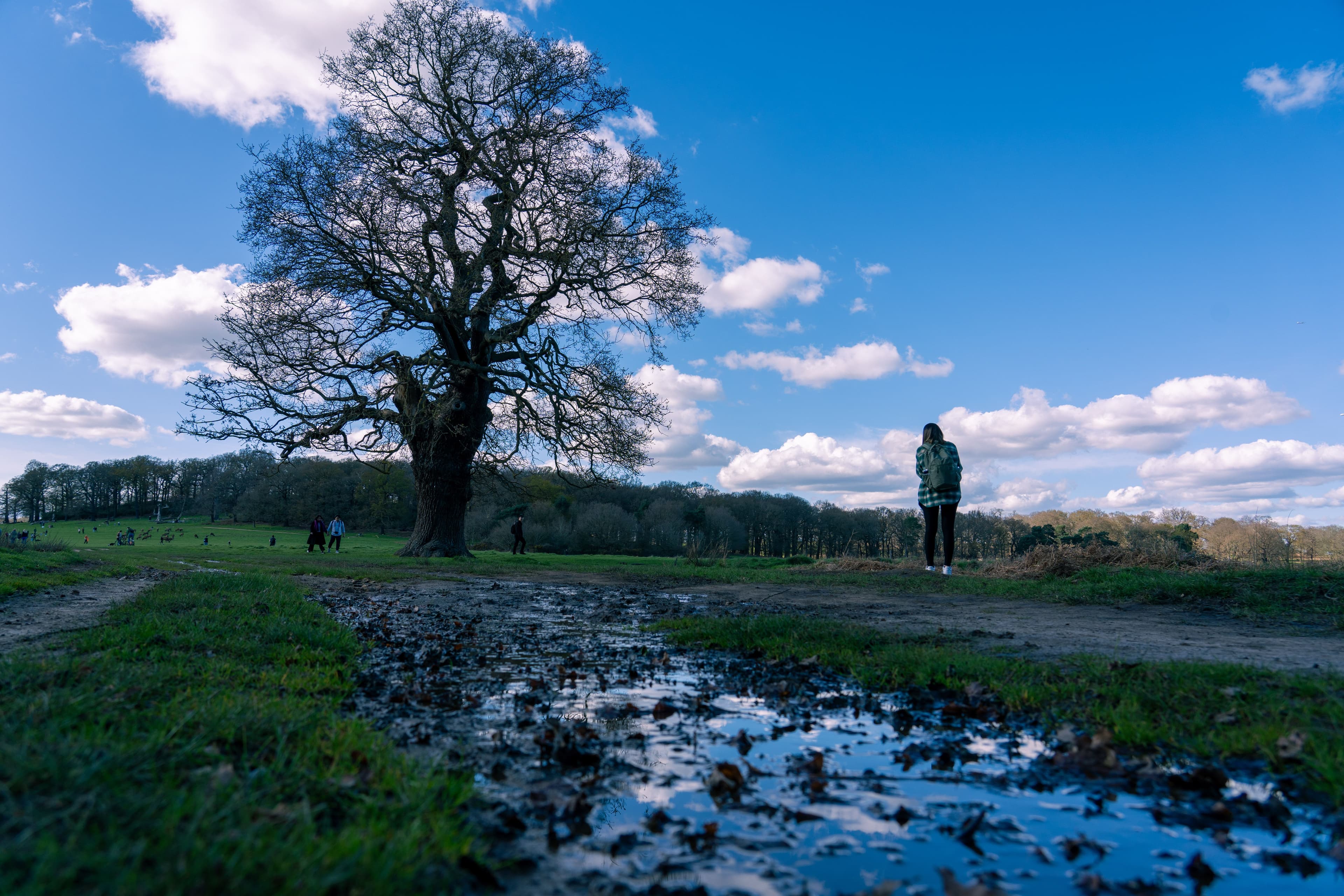 2024年9月末 AI 大事记